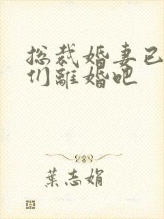 总裁婚妻已过我们离婚吧