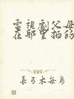 电视剧父母爱情在那里拍的封面