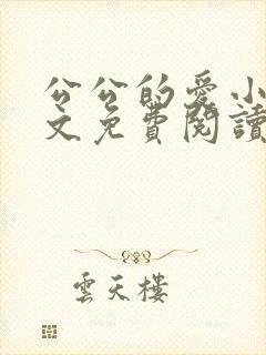 公公的爱小说全文免费阅读封面