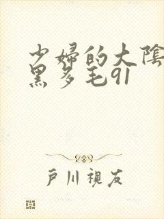 少妇的大阴户浓黑多毛91