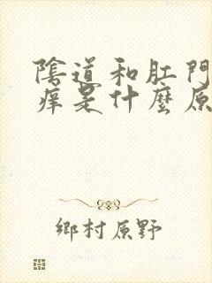 阴道和肛门中间痒是什么原因