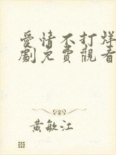 爱情不打烊电视剧免费观看完整版