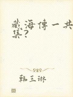 藏海传一共多少集?