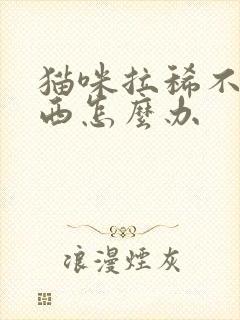 猫咪拉稀不吃东西怎么办