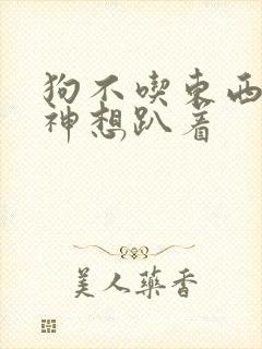 狗不吃东西没精神想趴着