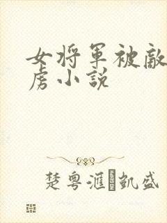 女将军被敌国俘虏小说