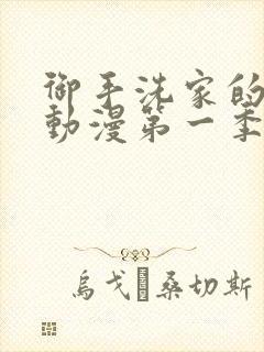 御手洗家的破洞动漫第一季封面