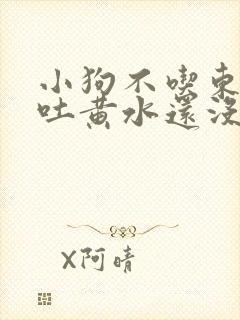 小狗不吃东西还吐黄水还没精神