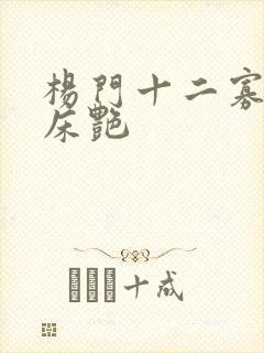杨门十二寡妇肉床艳