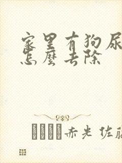 家里有狗尿味道怎么去除