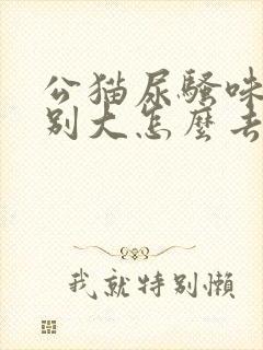 公猫尿骚味道特别大怎么去除封面