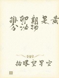 排卵期是黄色的分泌物封面