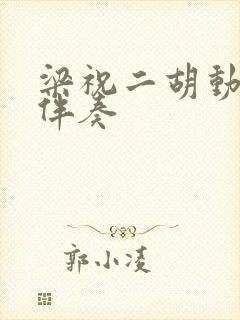 梁祝二胡动态谱伴奏