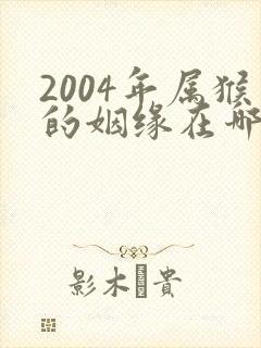 2004年属猴的姻缘在哪年