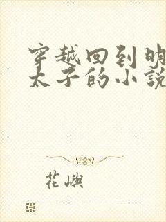 穿越回到明朝当太子的小说