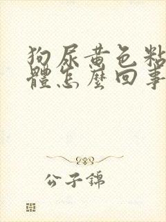 狗尿黄色粘稠液体怎么回事封面