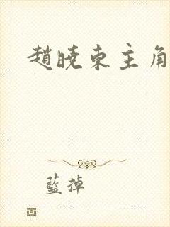 赵晓东主角小说