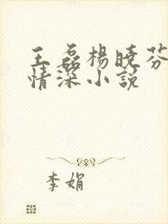 王磊杨晓芬后妈情深小说