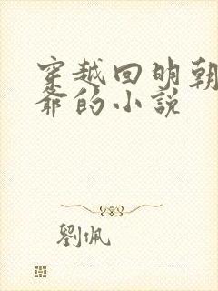 穿越回明朝当王爷的小说封面