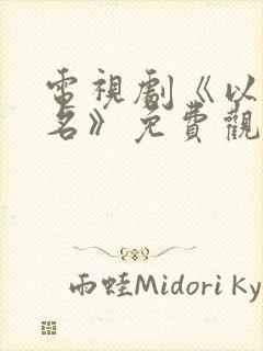 电视剧《以法之名》免费观看封面