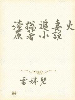 渣总追妻火葬场原著小说