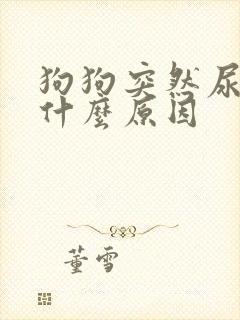 狗狗突然尿血是什么原因封面