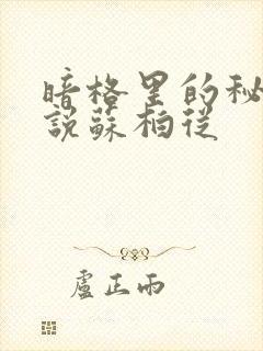 暗格里的秘密小说苏柏从