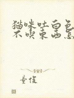 猫咪吐白色泡沫不吃东西怎么办