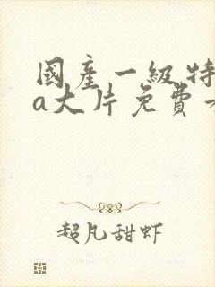 国产一级特黄aa大片免费看