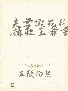 夫君假死我高嫁,摄政王爷舍命宠短剧