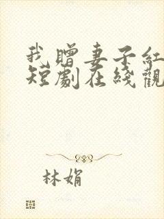 我赠妻子红缨枪短剧在线观看全集