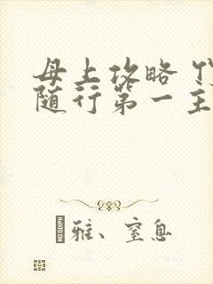 母上攻略 竹影随行第一主板封面