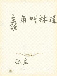主角叫林道的小说