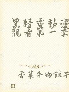 黑精灵动漫免费观看第一季在线