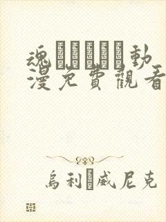 魂ィンサート动漫免费观看完整版