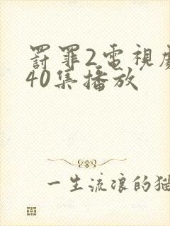 罚罪2电视剧全40集播放