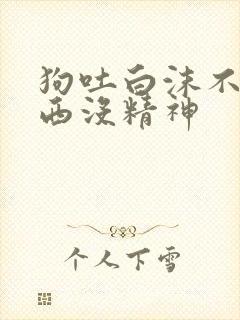 狗吐白沫不吃东西没精神封面