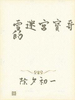 雪迷宫宝哥谁演的