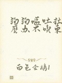 狗狗呕吐拉稀怎么办不吃东西