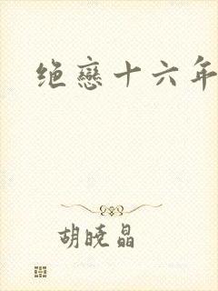 绝恋十六年封面