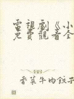 电视剧《小舅》免费观看全集高清封面