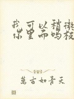 我可以稍微放进你里面吗校园版封面