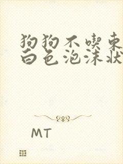 狗狗不吃东西吐白色泡沫状粘液