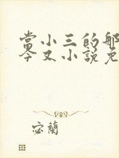 当小三的那些年今又小说免费阅读