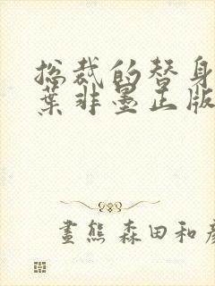 总裁的替身前妻叶非墨正版封面