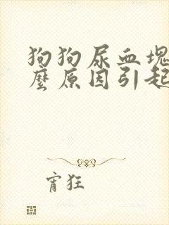 狗狗尿血块是什么原因引起