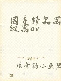 国产精品国产三级国av