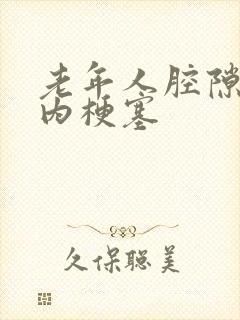 老年人腔隙性脑内梗塞