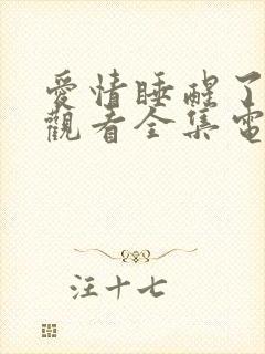 爱情睡醒了免费观看全集电视剧