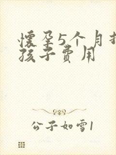 怀孕5个月打掉孩子费用